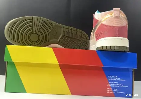 Pro Status High Social SB x DJ1173-600 Nk Dunk 0507